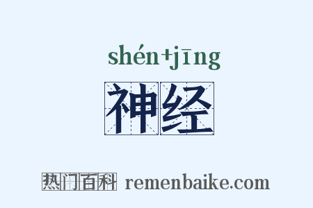 神经是什么意思的图片